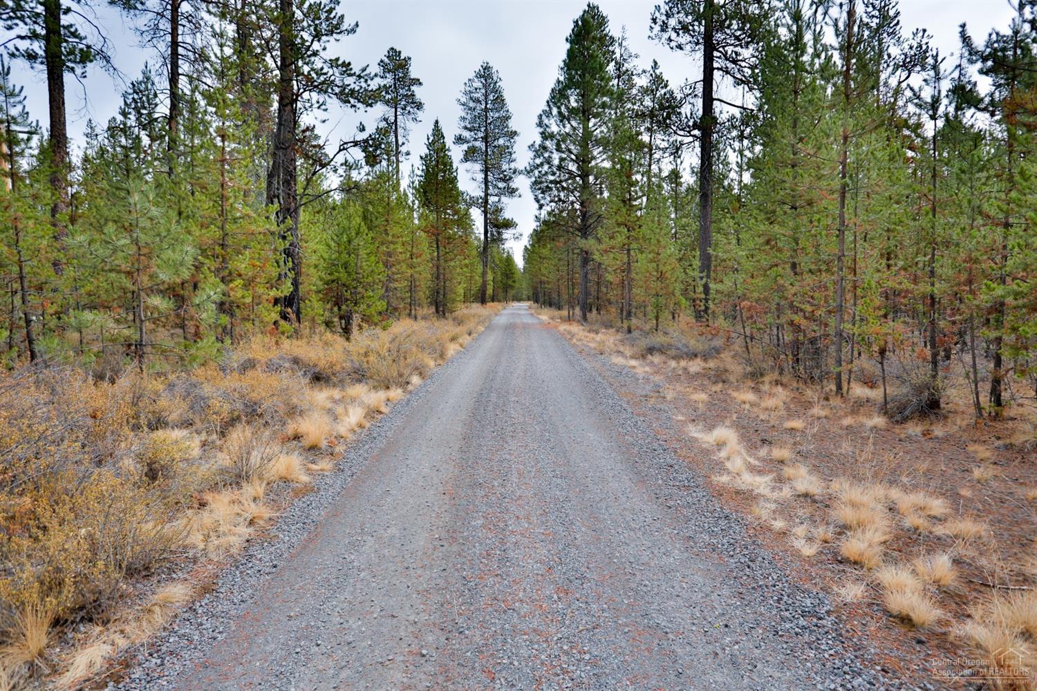 54485 Huntington Road Bend, OR 97707 - Photo 11 of 25 Private driveway to the home.