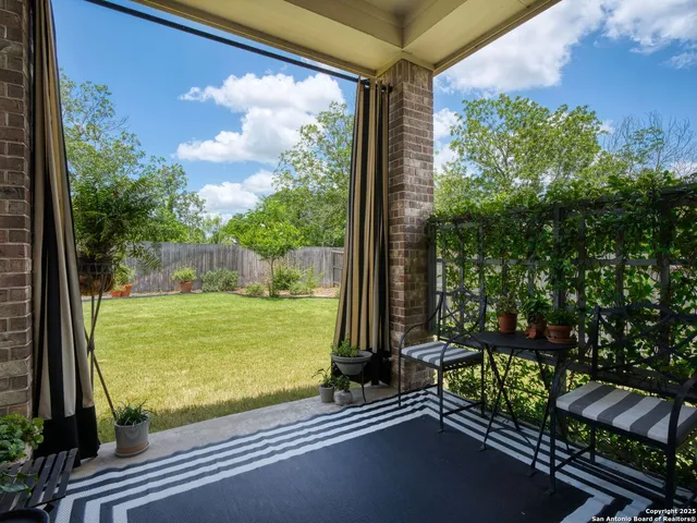 a view of a floor to ceiling window and a tree