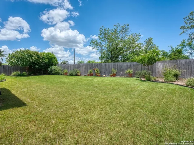 a view of garden with trees