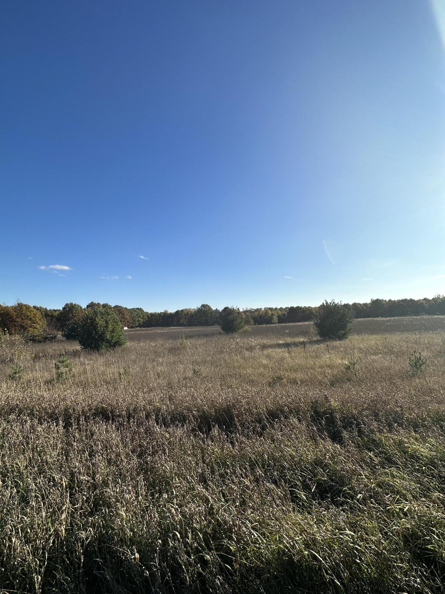 Vl West Briggs Road Stanton, MI 48888 - Photo 1 of 2 IMG_0537
