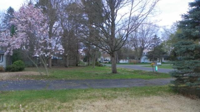 57571 Walnut Street Three Rivers, MI 49093 - Photo 13 of 15 263-449061 yard 2