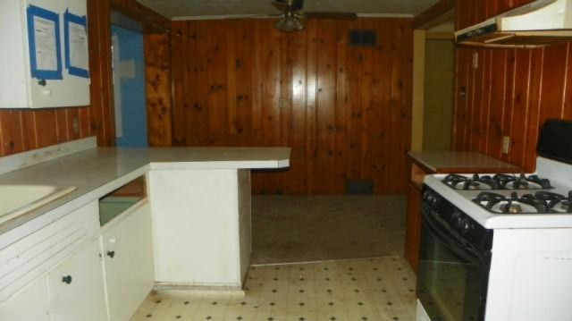 57571 Walnut Street Three Rivers, MI 49093 - Photo 5 of 15 263-449061 kitchen 2