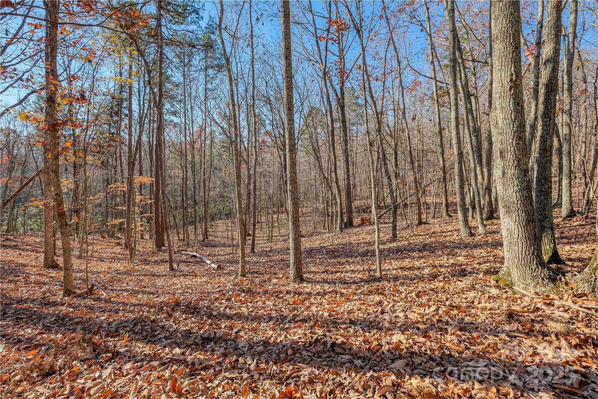 0 Canterbury Road Kings Mountain, NC 28086 - Photo 11 of 32