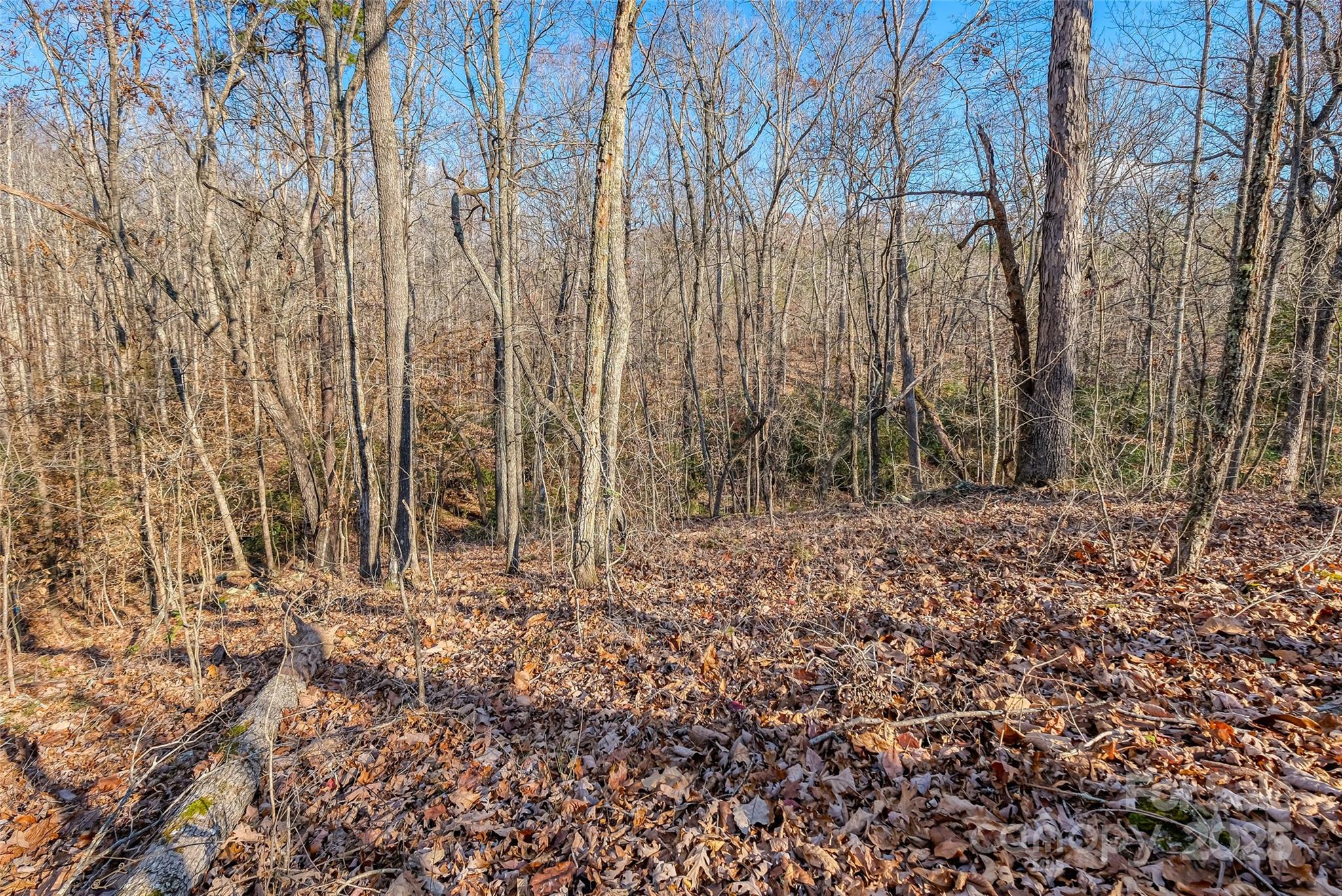 0 Canterbury Road Kings Mountain, NC 28086 - Photo 13 of 32