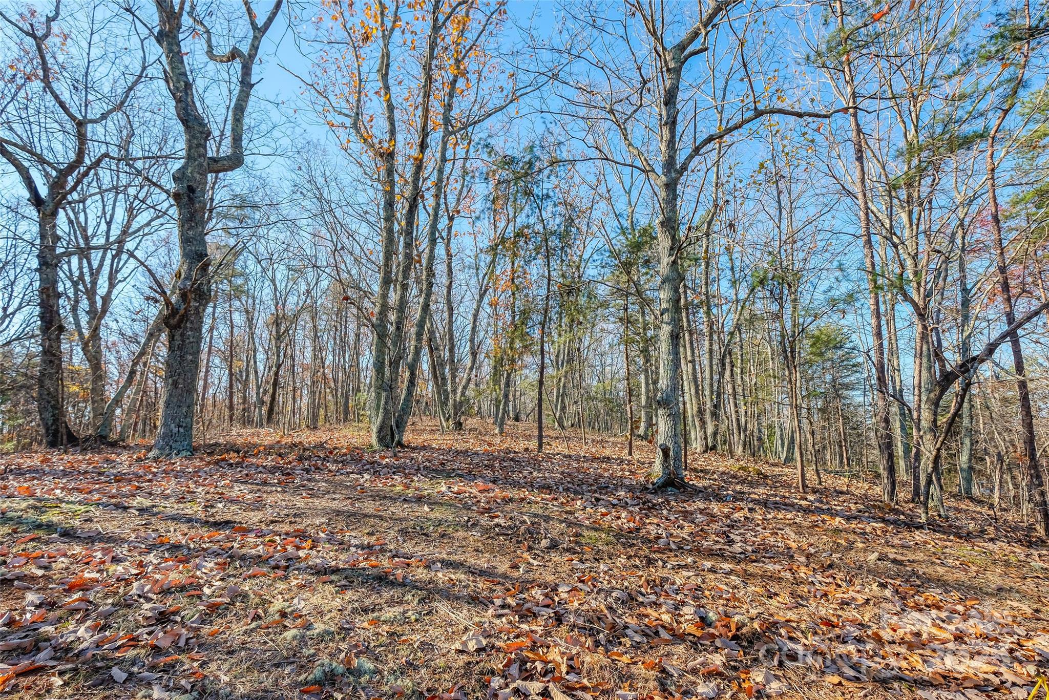 0 Canterbury Road Kings Mountain, NC 28086 - Photo 7 of 32