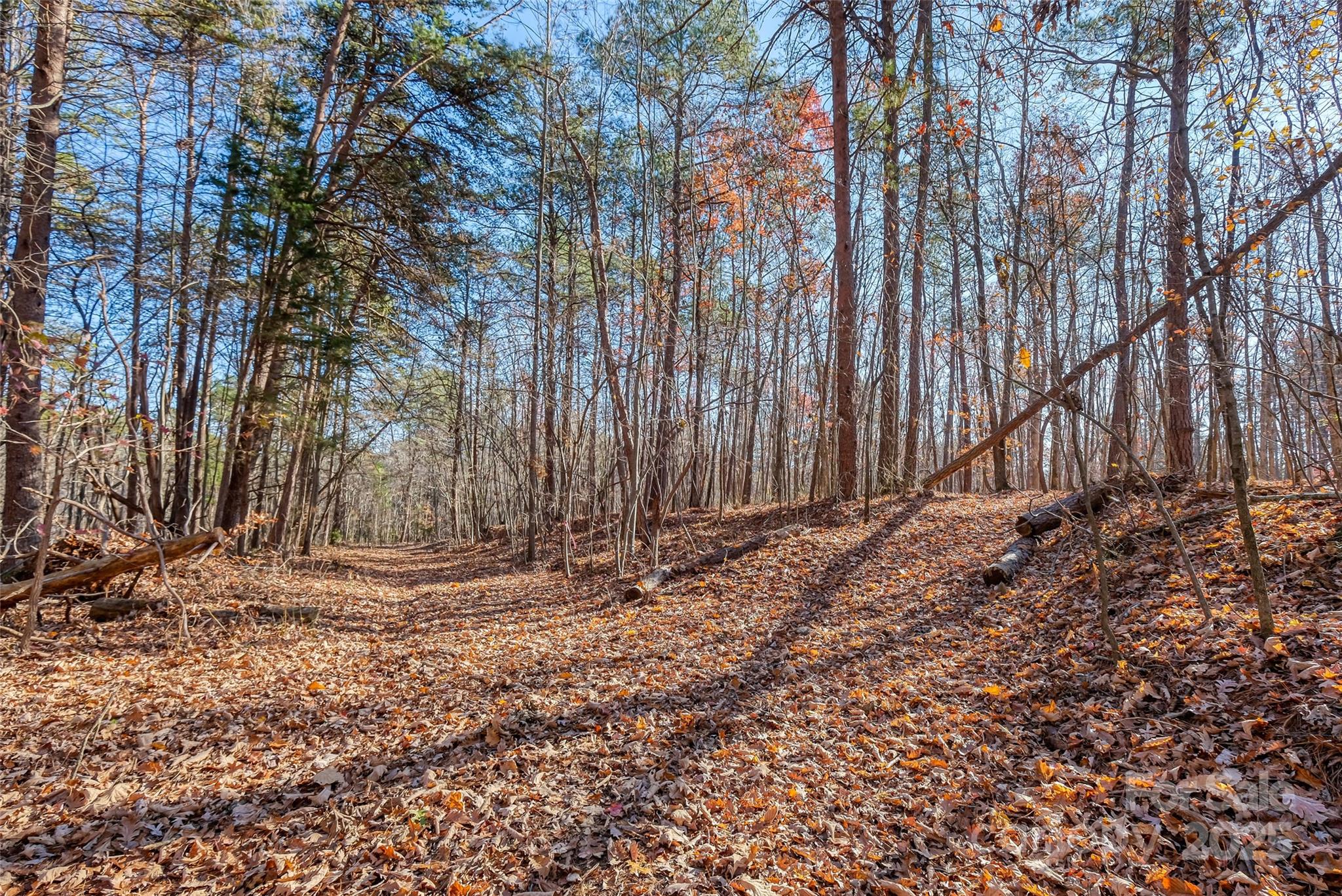 0 Canterbury Road Kings Mountain, NC 28086 - Photo 9 of 32