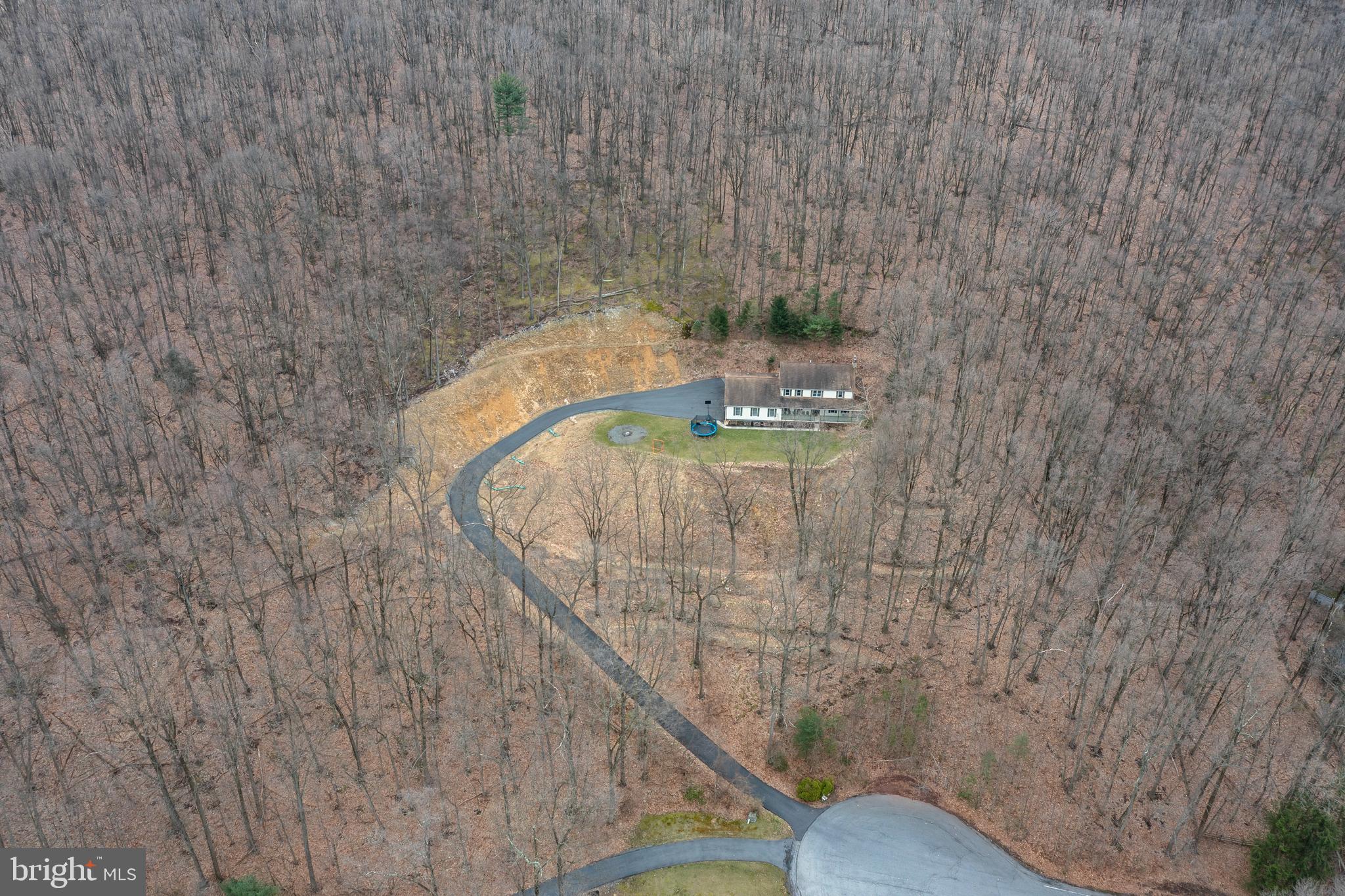 3032 Buck Run Road Temple, PA 19560 - Photo 42 of 44 Woods for exploring