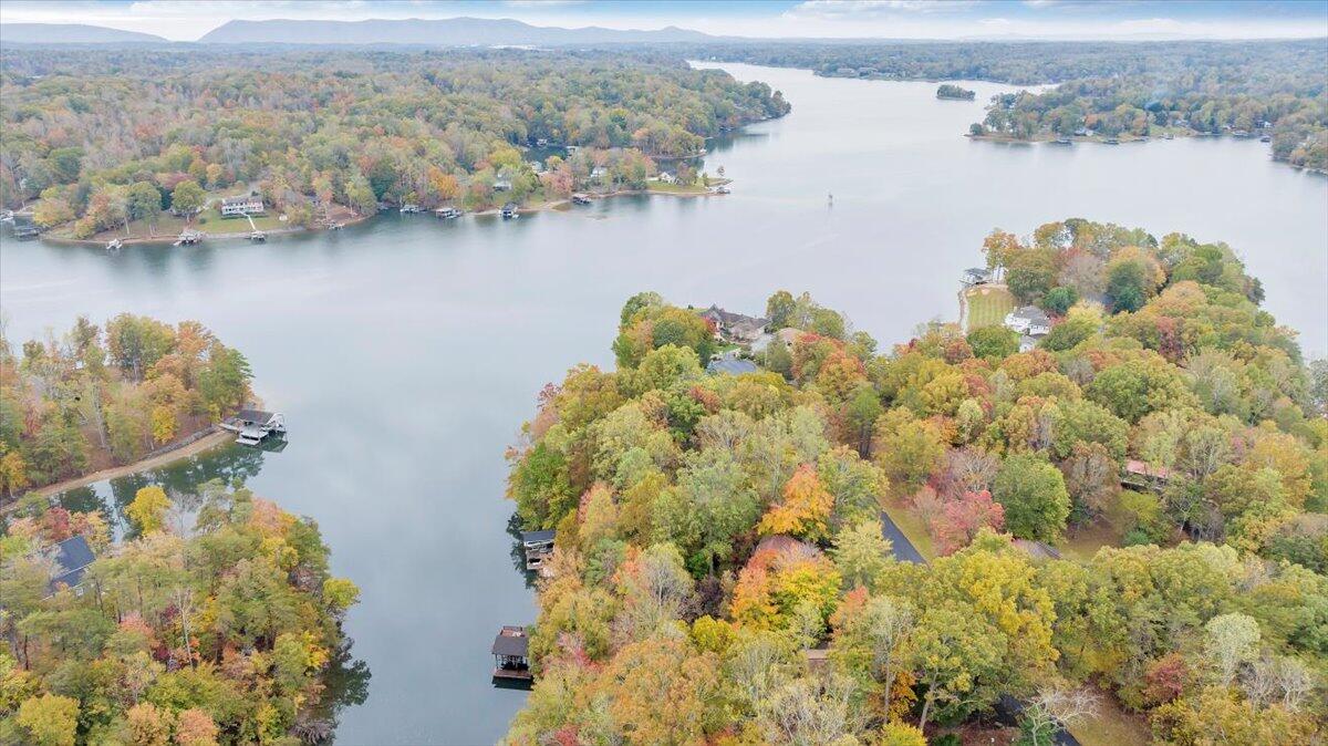 104 Red Oak Road Moneta, VA 24121 - Photo 89 of 99 Aerial