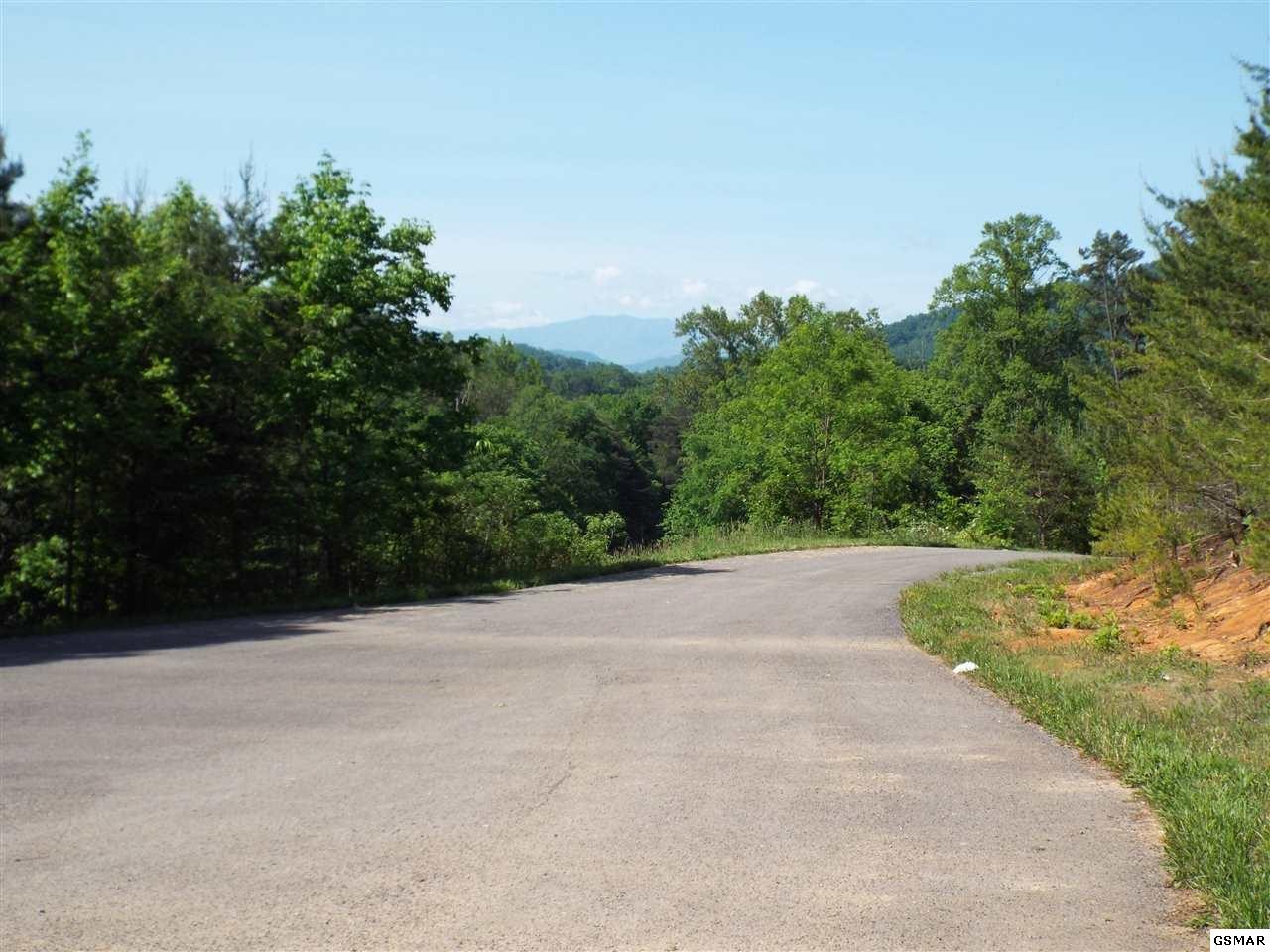 14 McGaha Chapel Road Newport, TN 37821 - Photo 5 of 15 a view of a road with a yard