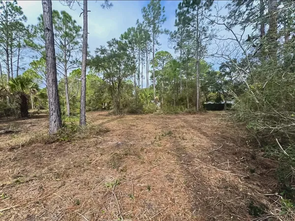$95,000 | Lot 3 Chattahoochee Street, Panacea, FL 32346