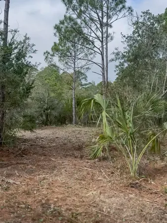 $95,000 | Lot 3 Chattahoochee Street, Panacea, FL 32346