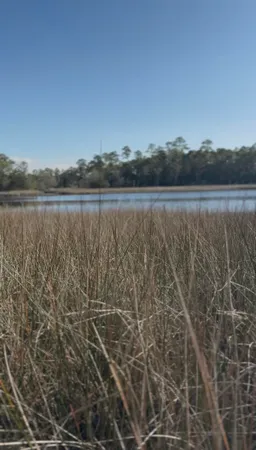$95,000 | Lot 3 Chattahoochee Street, Panacea, FL 32346