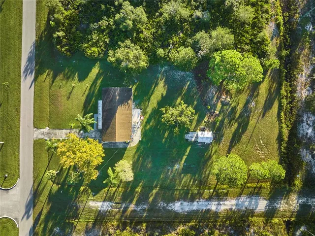 a close up of a plant in a garden