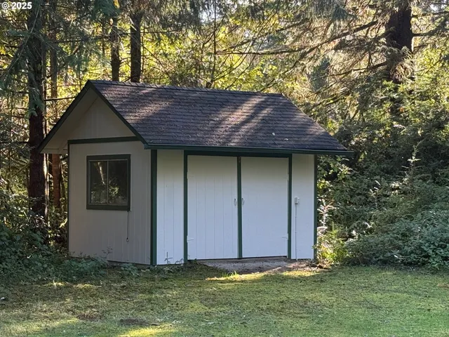 a small garden covered with tall trees