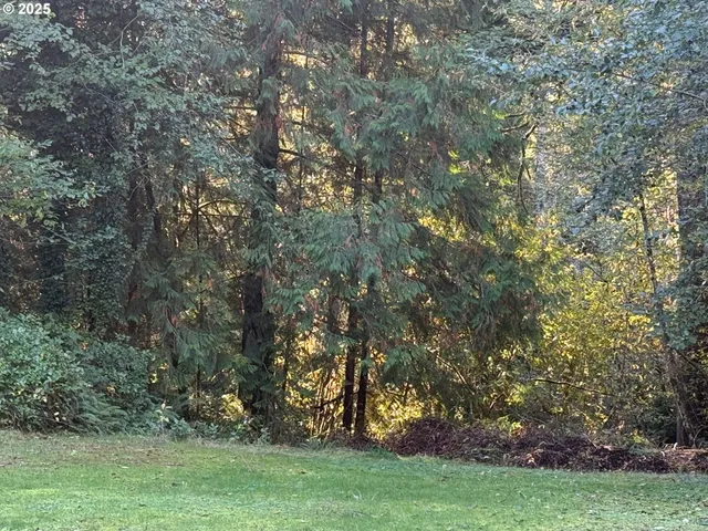 a view of outdoor space and yard
