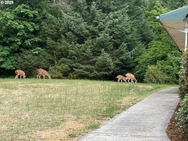 a backyard of a house with a yard and entertaining space