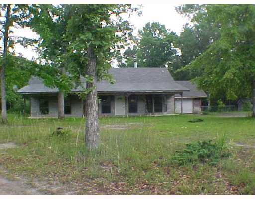 Primary Photo