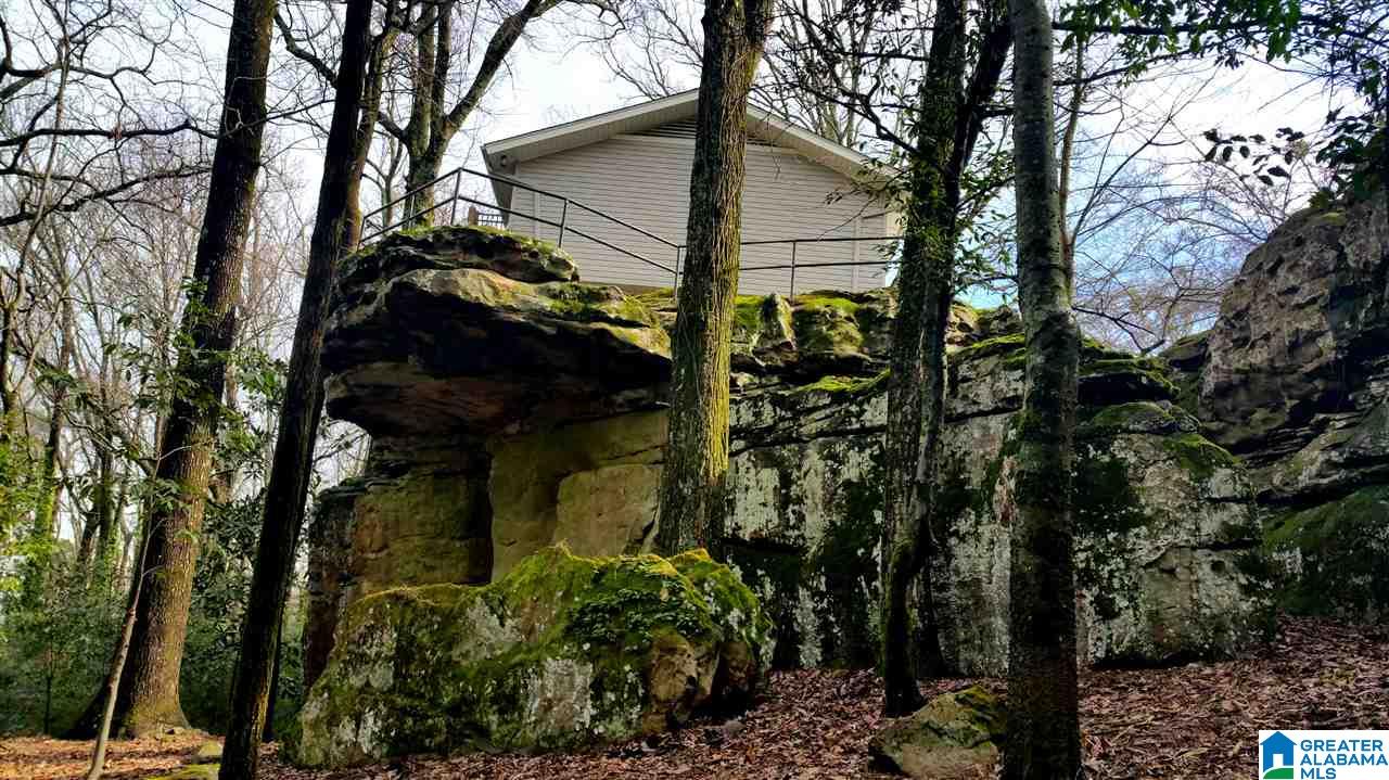 1344 Shades Crest Road Birmingham, AL 35226 - Photo 8 of 43