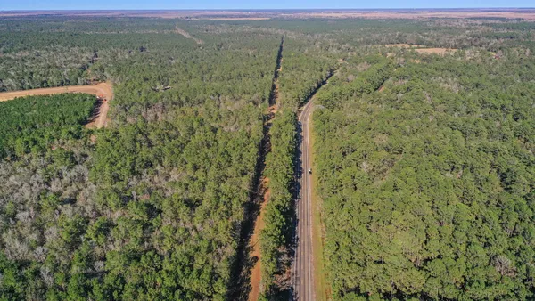 a view of a forest with trees in the background
