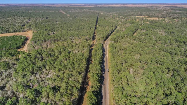 a view of a city with lush green forest