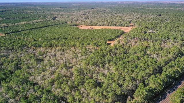 a view of a lush green outdoor space with a lake view