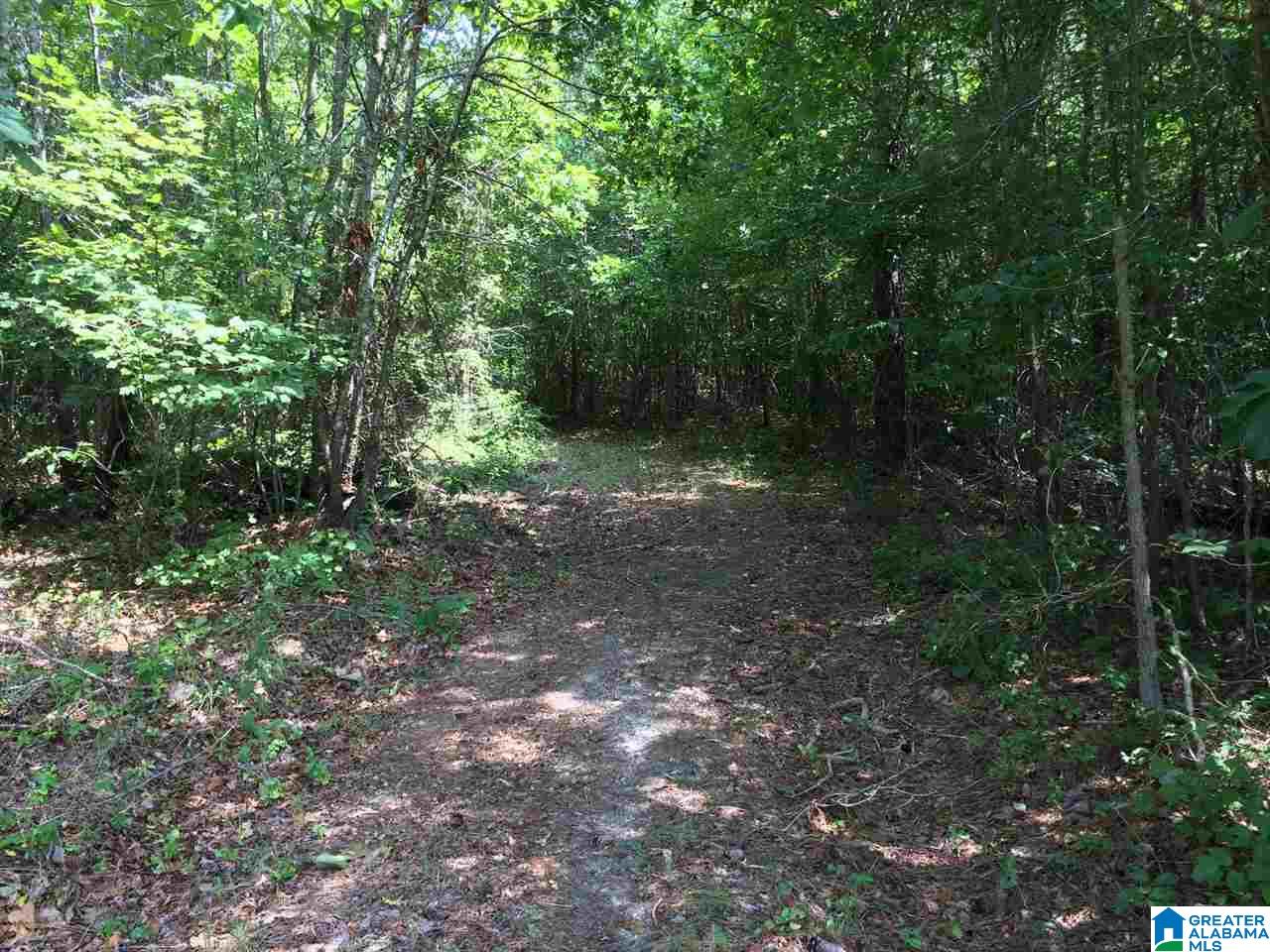 Spunky Hollow Road, Unit 18 7 Oneonta, AL 35121 - Photo 22 of 46