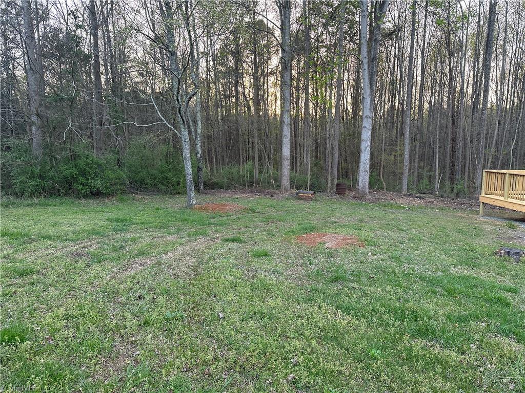 305 Leonard Meadow Road Ramseur, NC 27316 - Photo 13 of 45