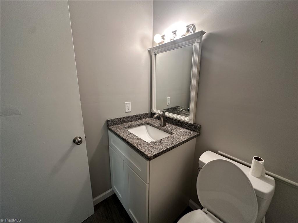 305 Leonard Meadow Road Ramseur, NC 27316 - Photo 26 of 45