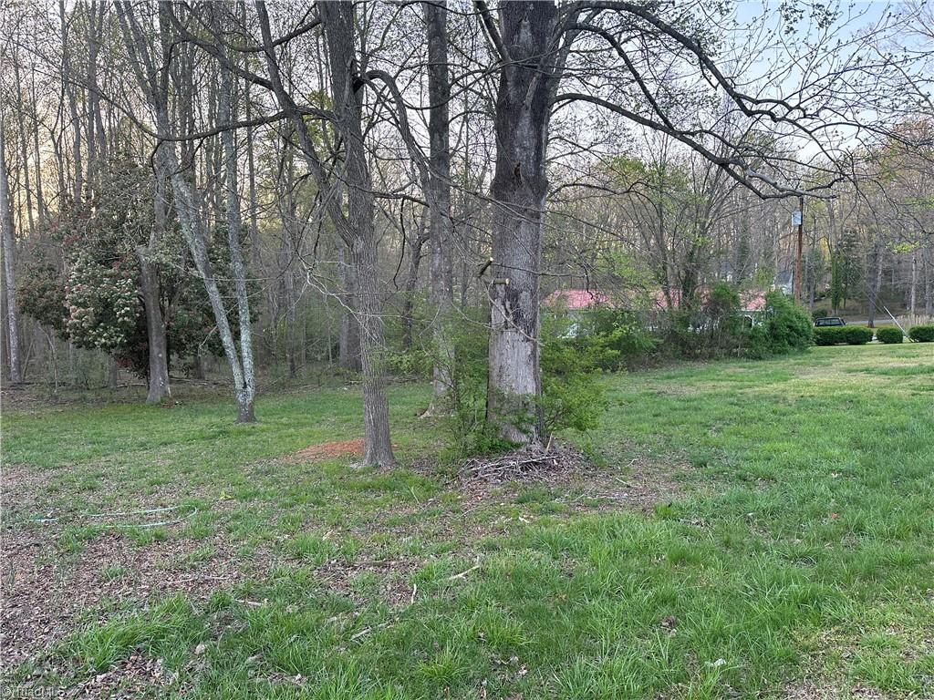 305 Leonard Meadow Road Ramseur, NC 27316 - Photo 7 of 45