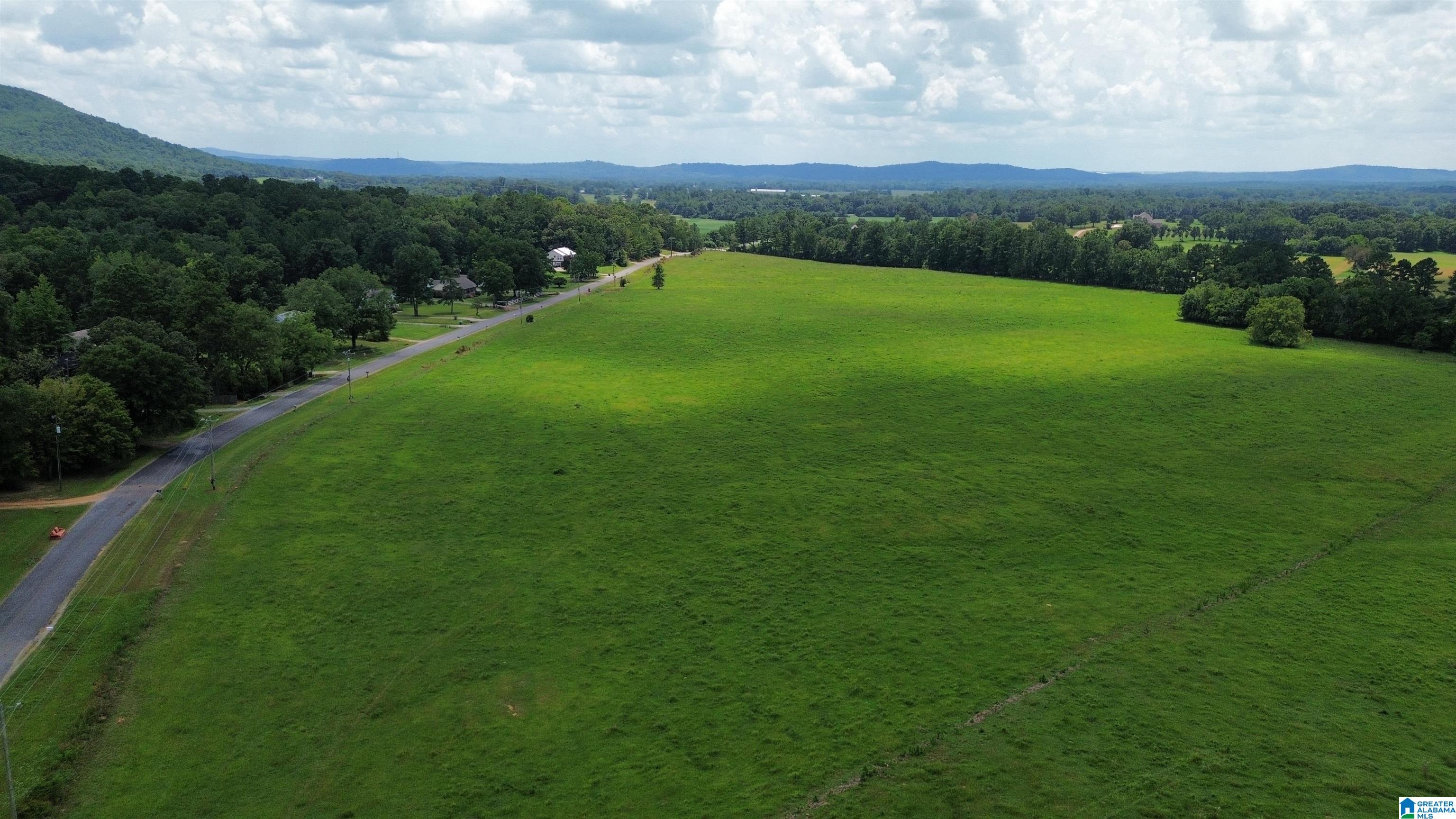 0 Risers Mill Road Alpine, AL 35014 - Photo 1 of 25