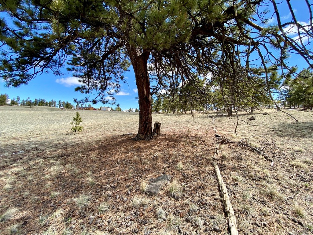 Tbd Tbd Oahu Road Hartsel, CO 80449 - Photo 41 of 47 a view of outdoor space with trees