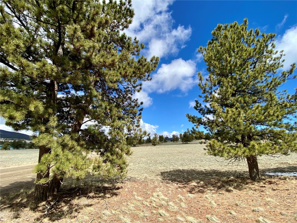 Tbd Tbd Oahu Road Hartsel, CO 80449 - Photo 10 of 47 a view of a yard with wooden fence