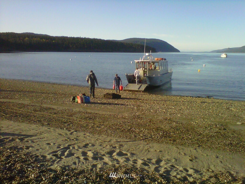 663 Decatur Head Drive Decatur Island, WA 98221 - Photo 19 of 20