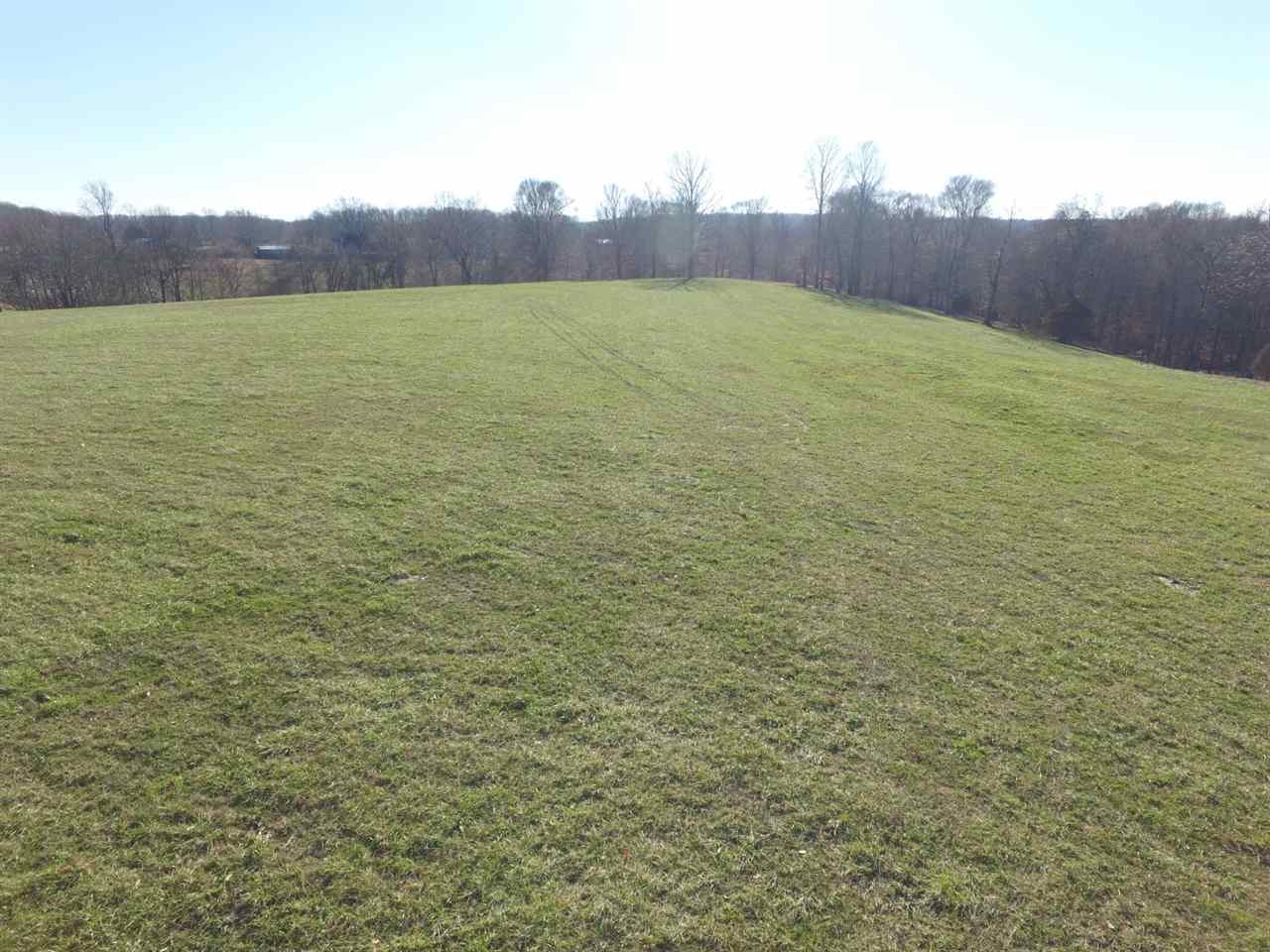 23-acres Cemetery Road Scottsville, KY 42164 - Photo 1 of 32 Gallery Image 1
