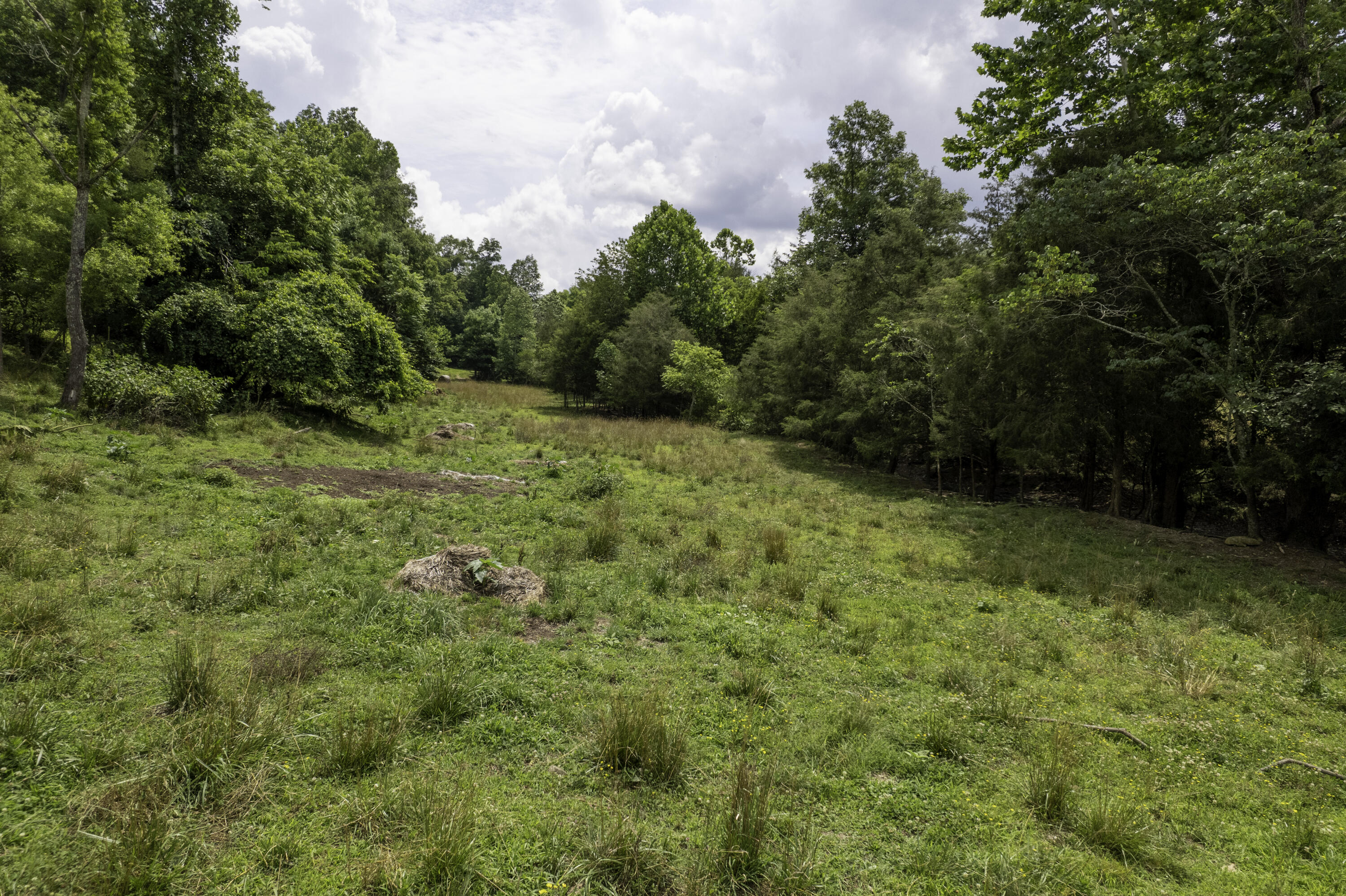 2000 Gosser Ridge Road Liberty, KY 42539 - Photo 33 of 33 DJI_0010