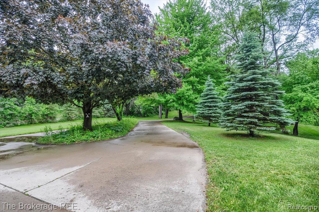 10270 Clark Road Davisburg, MI 48350 - Photo 13 of 69