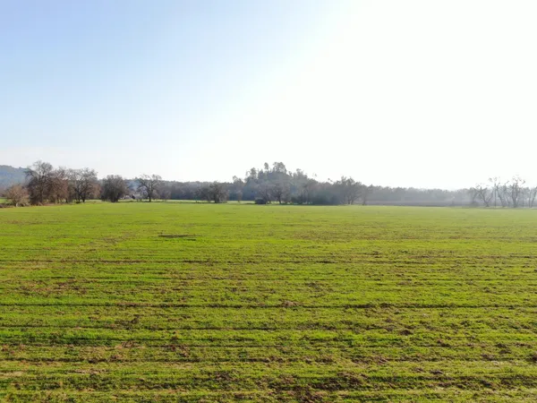 $1,004,760 | 5050 Jackson Valley Road, Ione, CA 95640