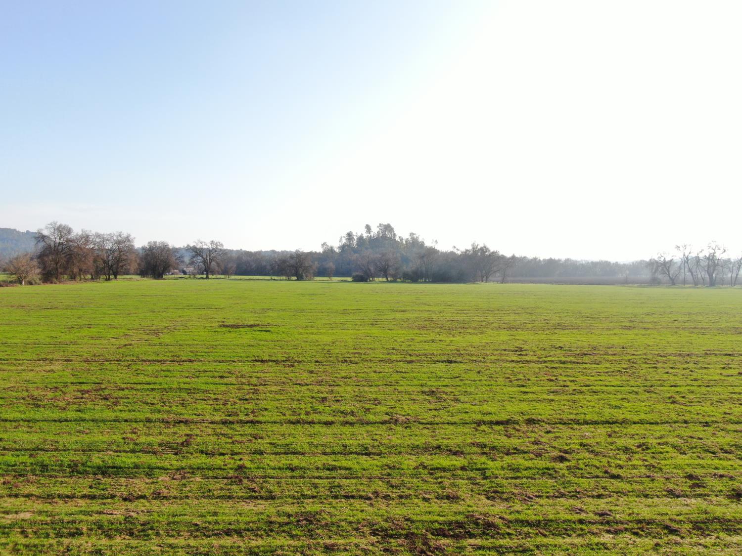 5050 Jackson Valley Road Ione, CA 95640 - Photo 8 of 8