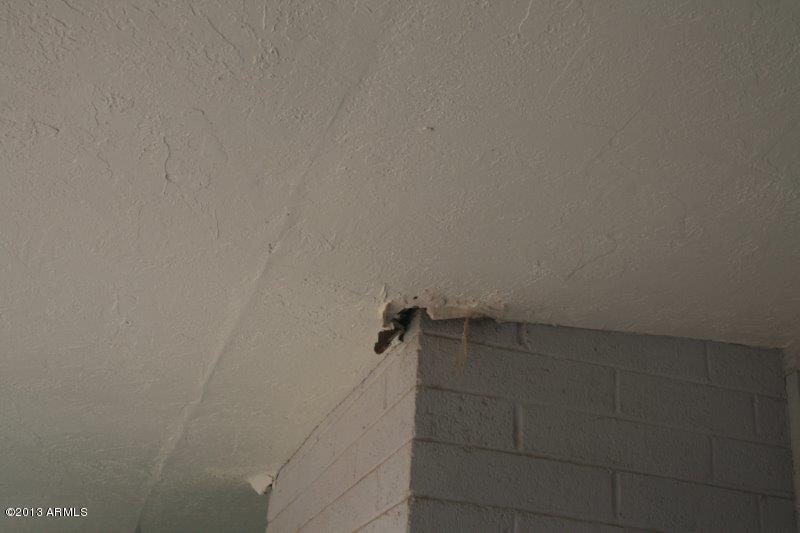 4001 West Thunderbird Road Phoenix, AZ 85053 - Photo 17 of 25 damagepatio2