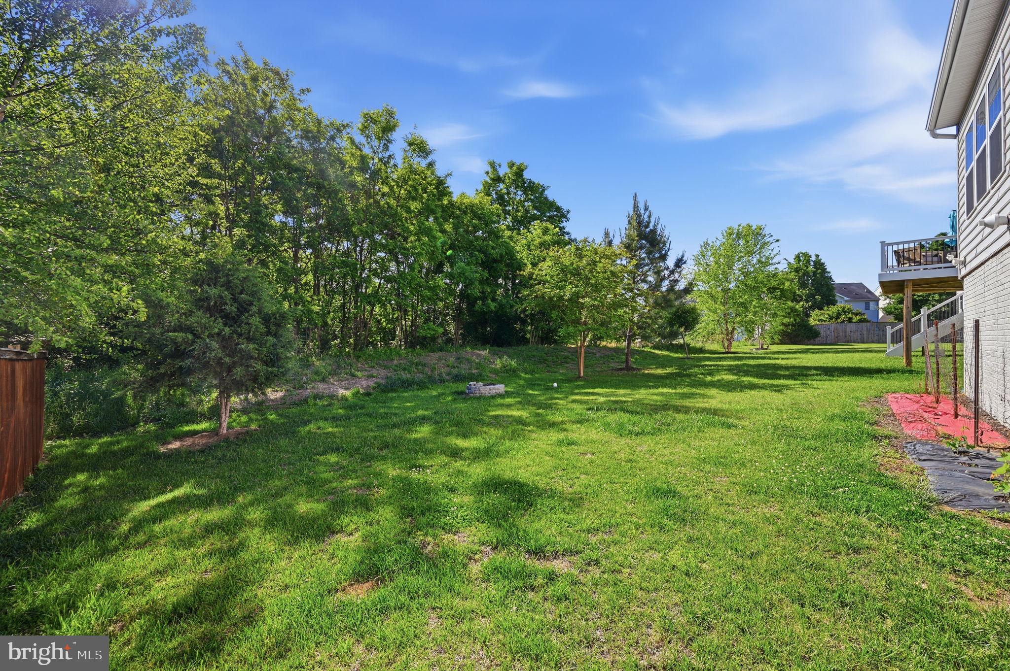 687 Blossom Tree Road Culpeper, VA 22701 - Photo 30 of 31 a backyard of a house with lots of green space
