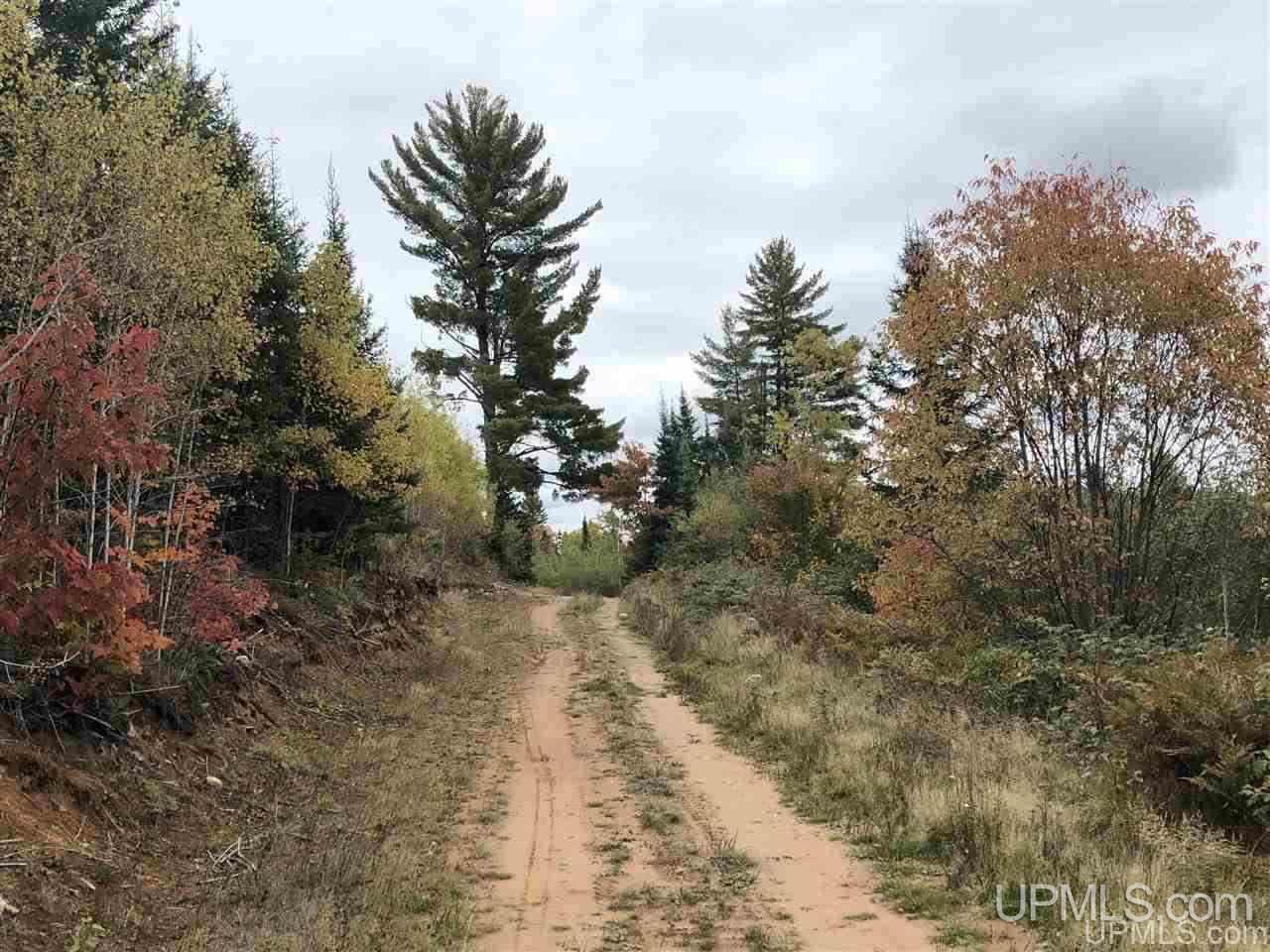 Tbd Off Woods Road Negaunee, MI 49849 - Photo 1 of 15
