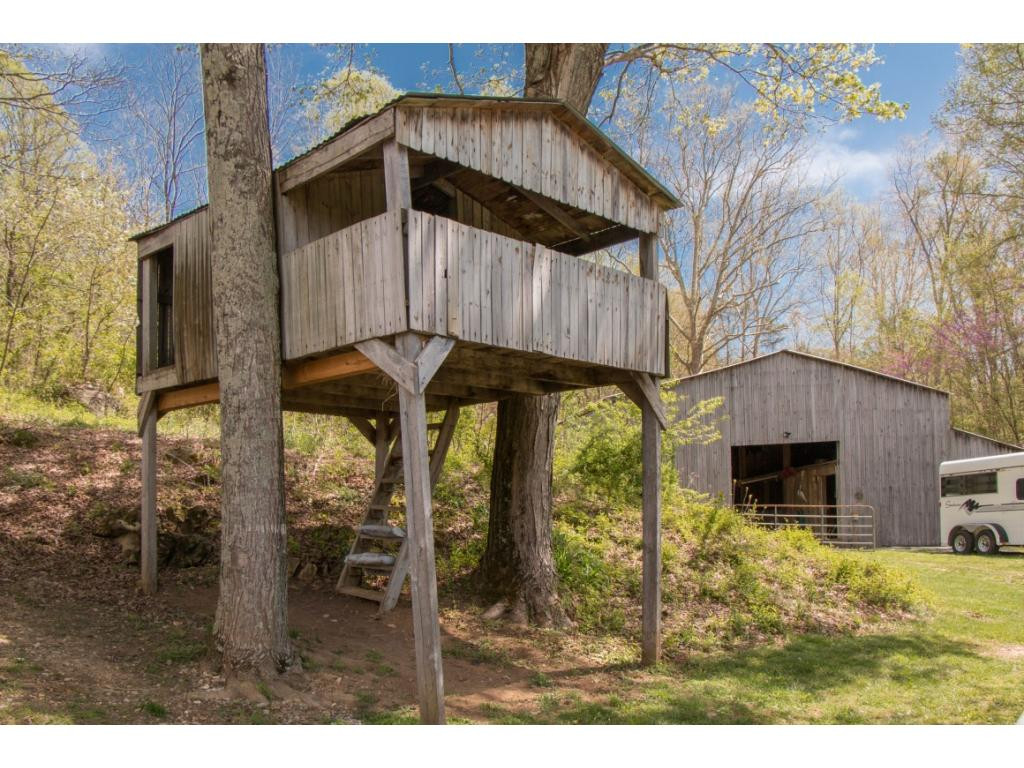 1272 Reedy Creek Road Bristol, TN 37620 - Photo 31 of 33 Photo 33