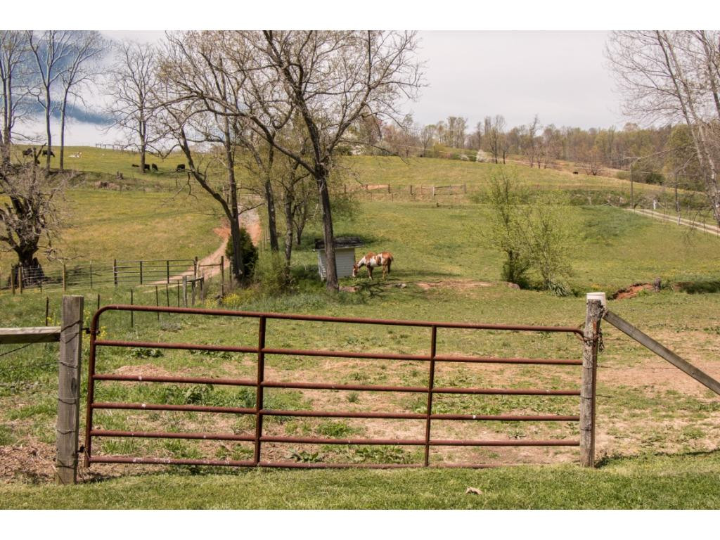 1272 Reedy Creek Road Bristol, TN 37620 - Photo 33 of 33 Photo 35