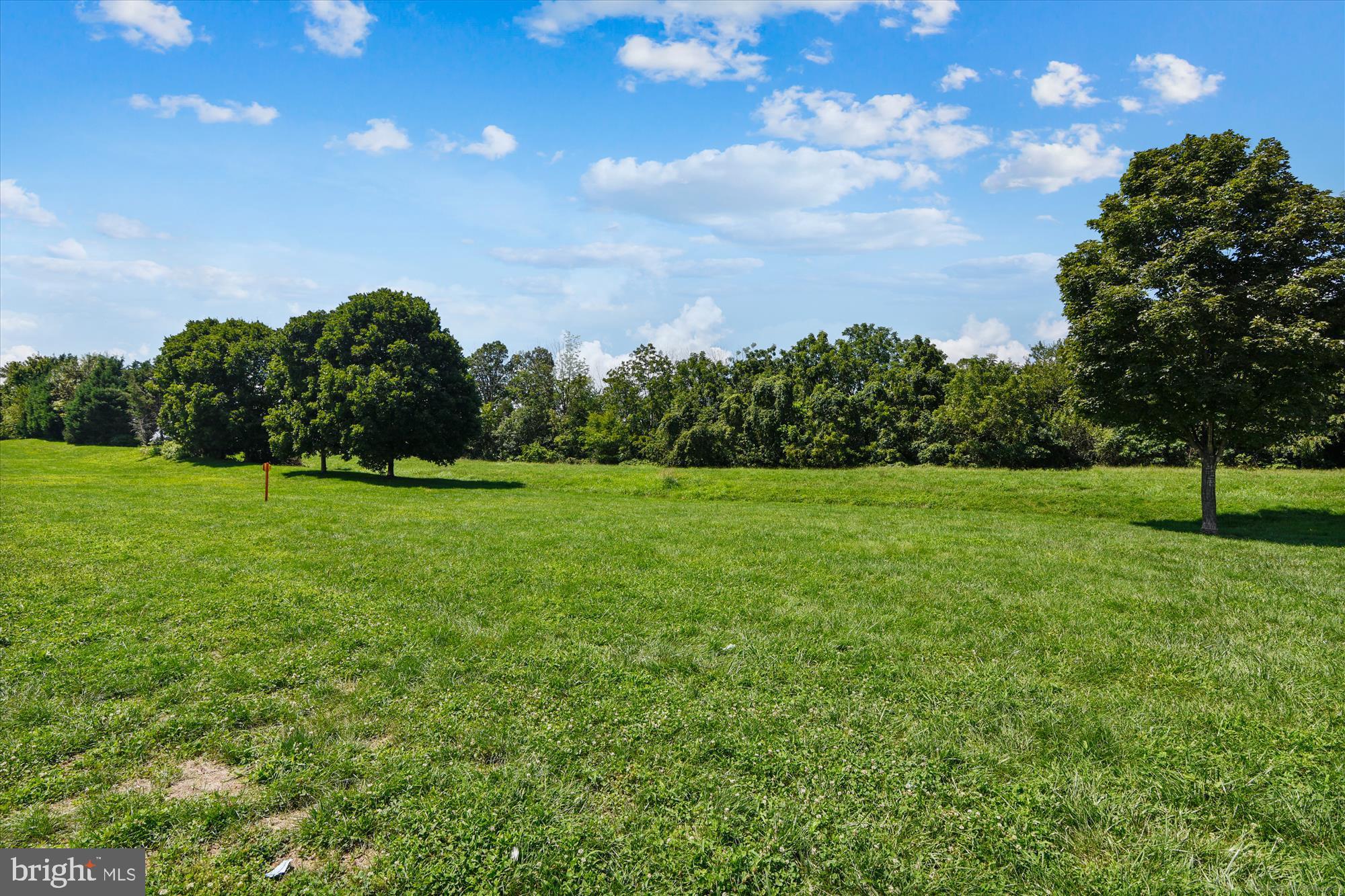 7410 Langholm Way Manassas, VA 20109 - Photo 18 of 18 Lush green expanse under a bright sky.