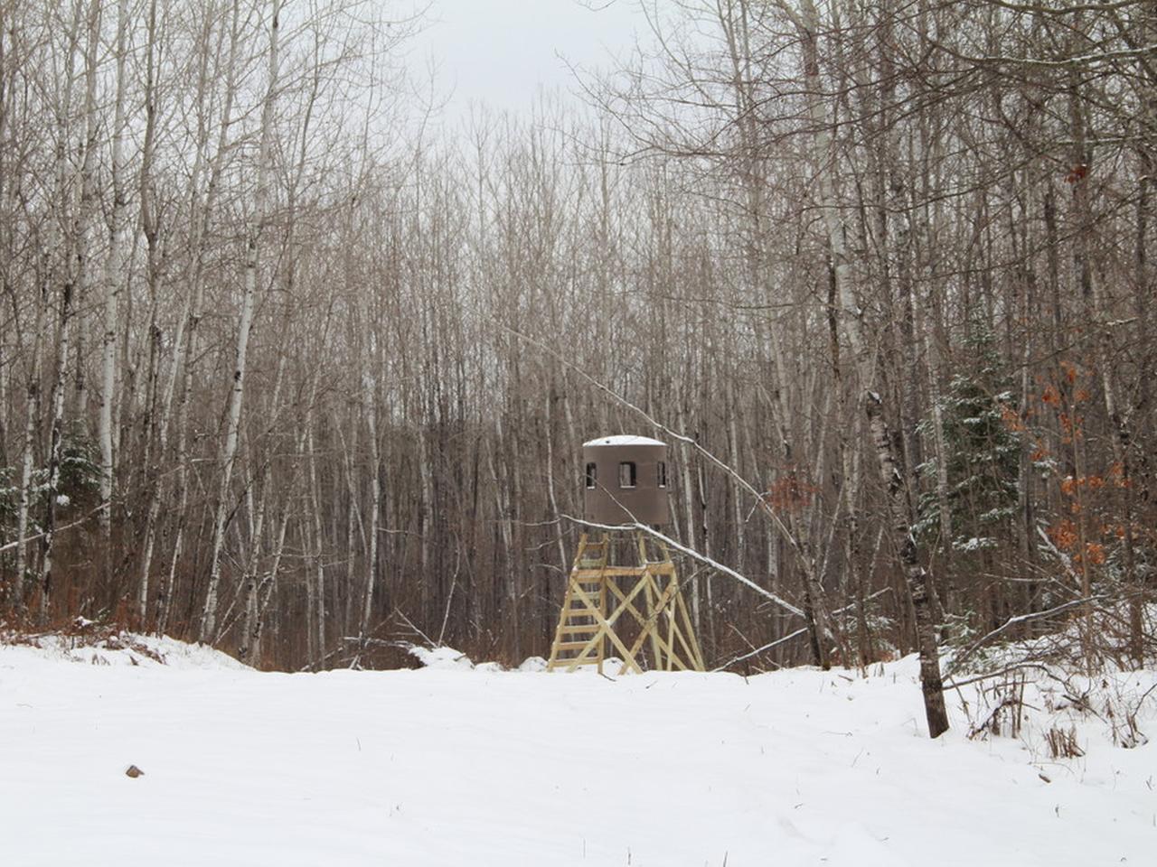 On Lake Of The Falls Road, Unit 120 ACRES Mercer, WI 54547 - Photo 11 of 15 Gallery Image 11