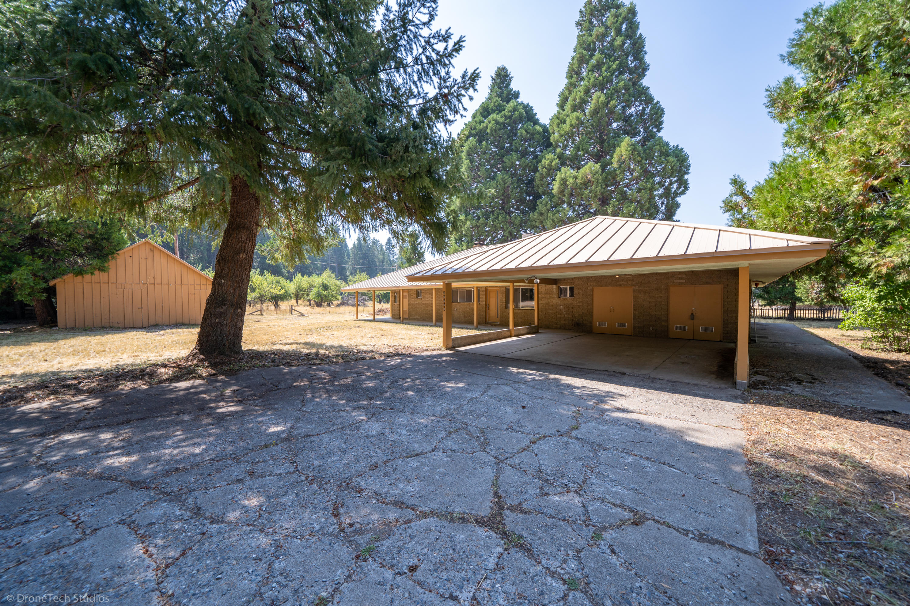 36563 Deer Flat Road Shingletown, CA 96088 - Photo 2 of 65 a view of a house with backyard and a tree