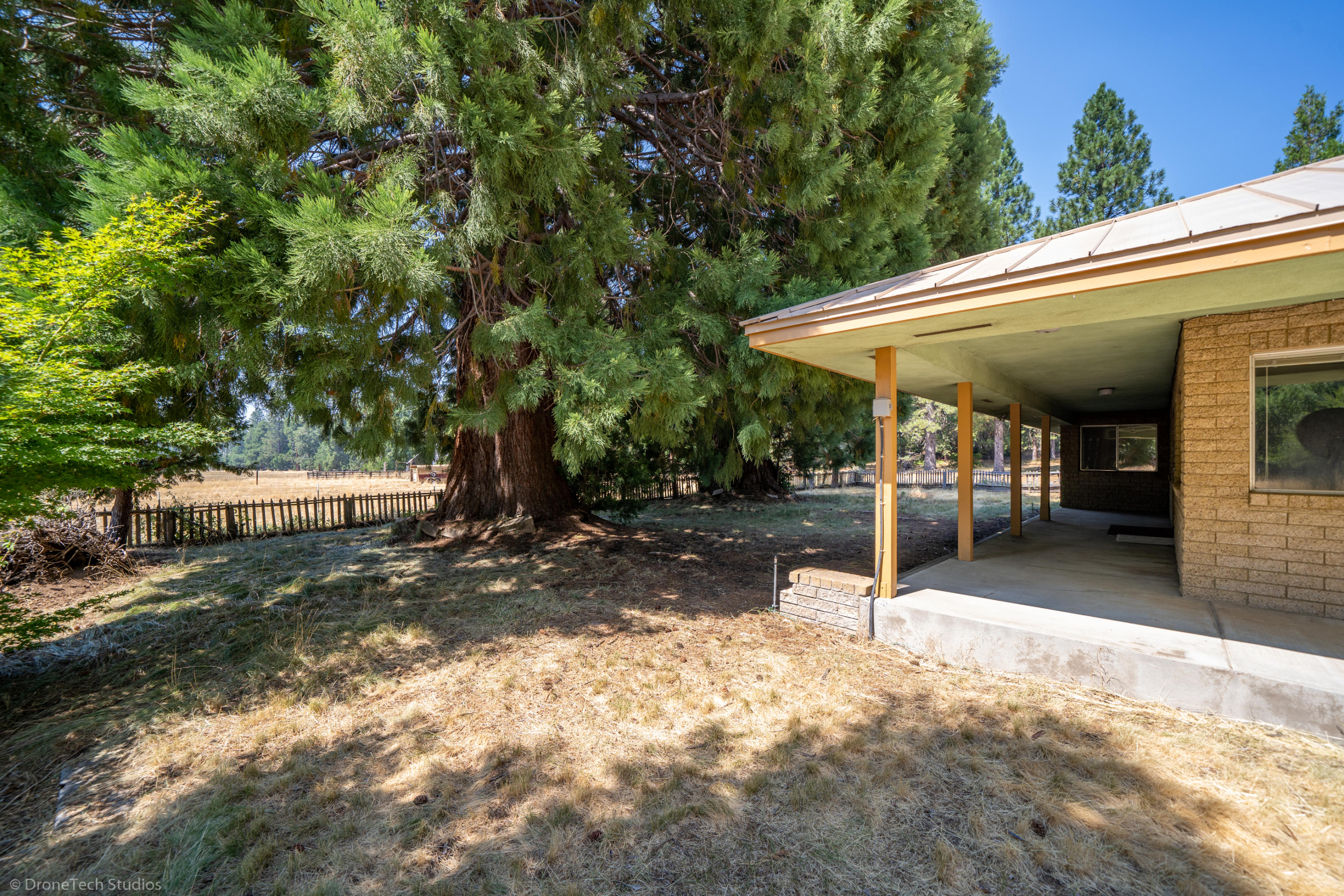 36563 Deer Flat Road Shingletown, CA 96088 - Photo 32 of 65 a view of a patio with a table and chairs under an umbrella