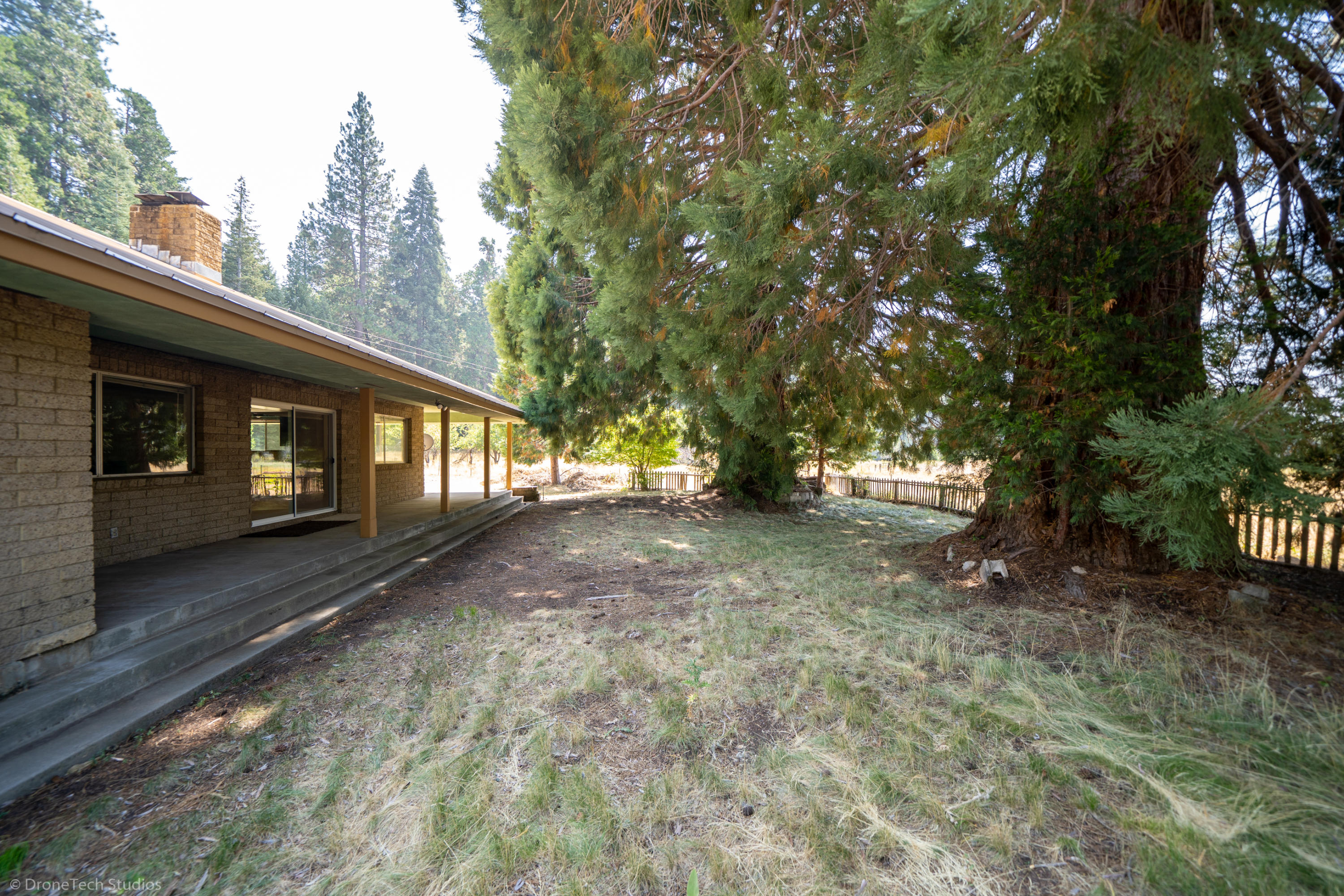 36563 Deer Flat Road Shingletown, CA 96088 - Photo 34 of 65 a view of outdoor space with lots of trees
