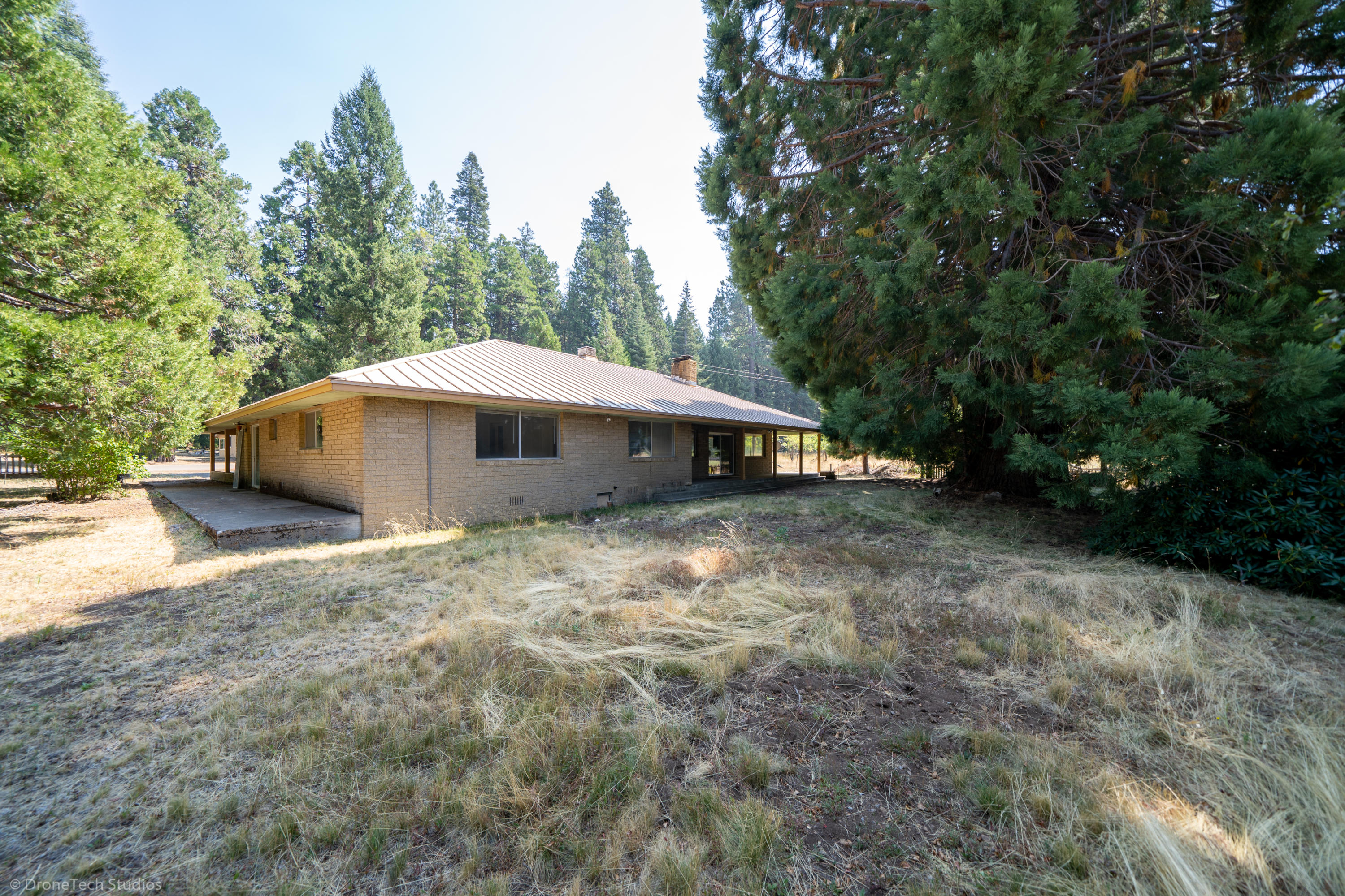 36563 Deer Flat Road Shingletown, CA 96088 - Photo 35 of 65 a front view of a house with a yard and trees
