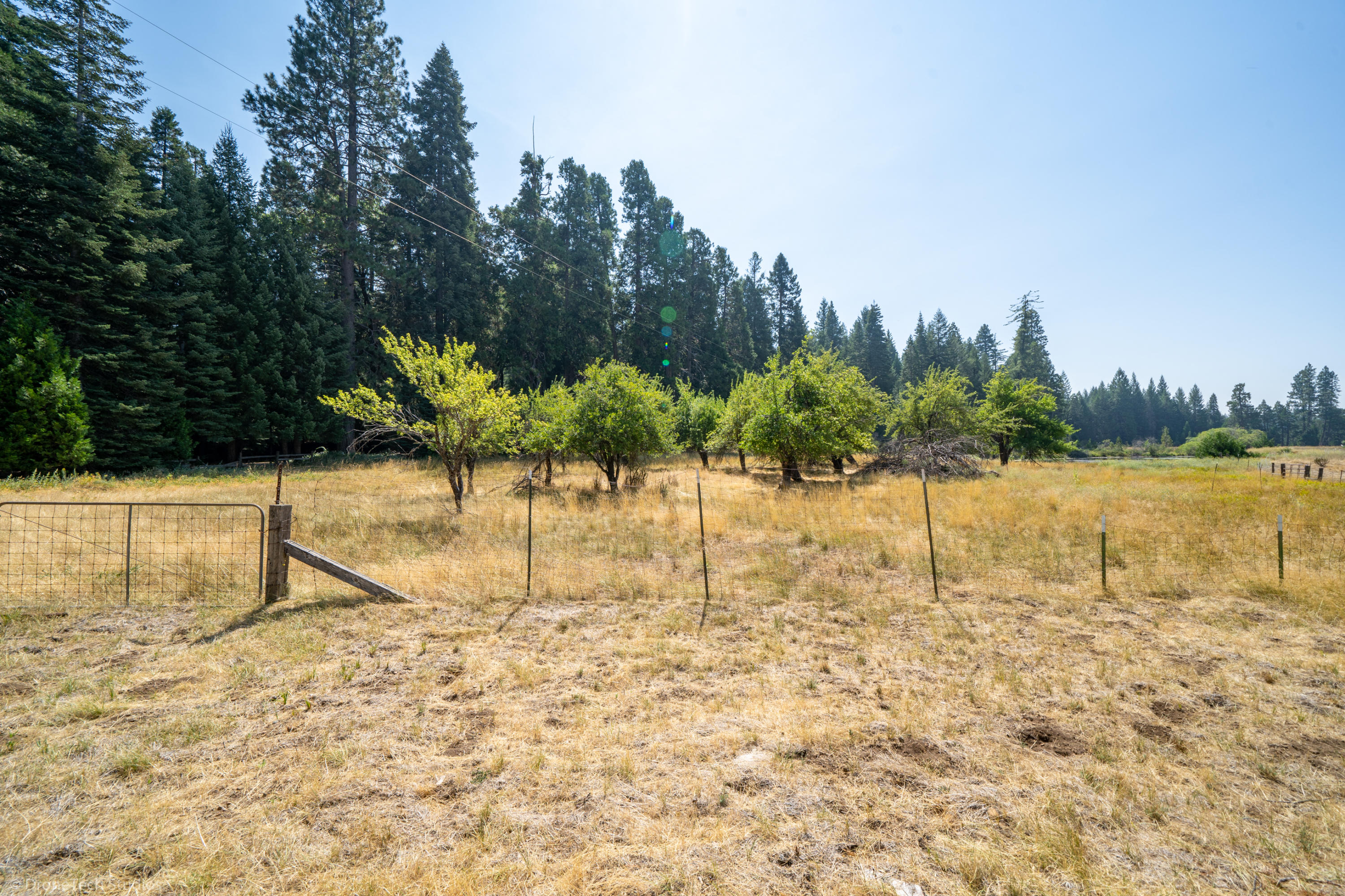 36563 Deer Flat Road Shingletown, CA 96088 - Photo 41 of 65 a view of wooden fence